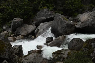 DSC_4703 (Large).JPG